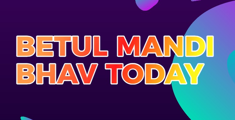 Today Betul Mandi Bhav 26 November | बेतुल मंडी भाव